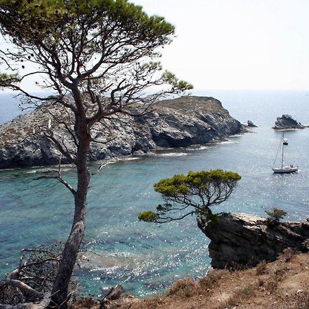 T2 Vue Mer 50M De La Plage A Giens อิแยร์ ภายนอก รูปภาพ