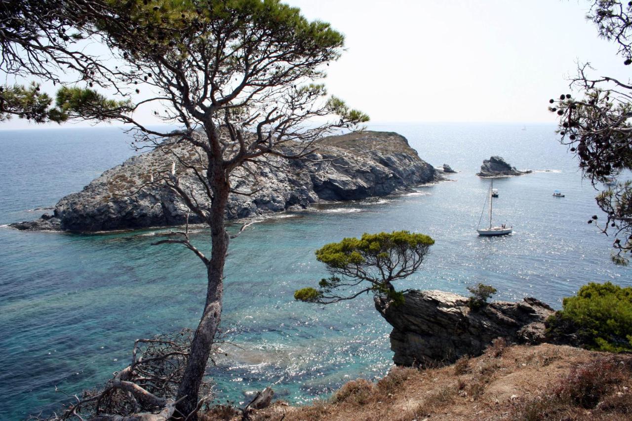 T2 Vue Mer 50M De La Plage A Giens อิแยร์ ภายนอก รูปภาพ